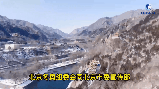 11.gif