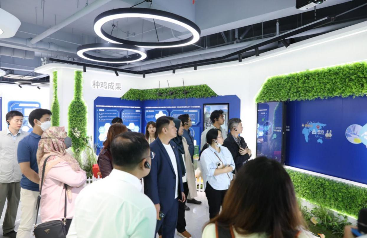 图片 7.png 图片 7.png