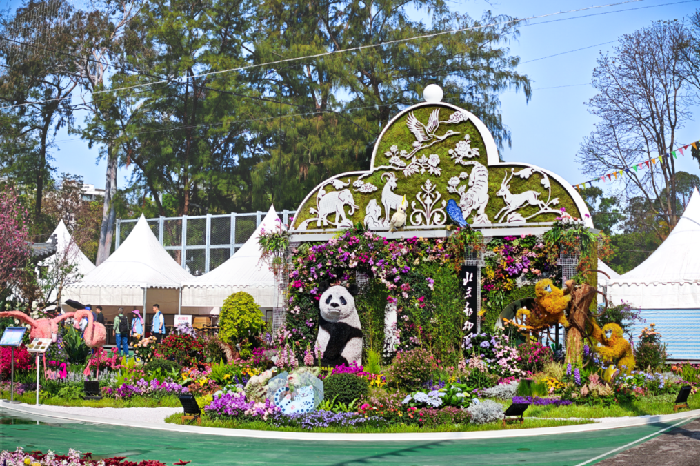 北京动物园自主设计的主题花坛 荣获2026年香港花卉展览“最具特色金奖”-1.png